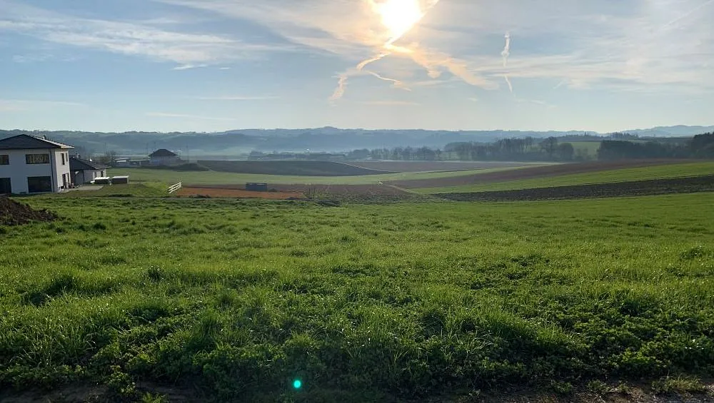 Bild Wiese mit Haus im Hintergrund und Ausblick Richtung Hügel