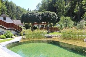 Anwesen in Steinbach an der Steyr