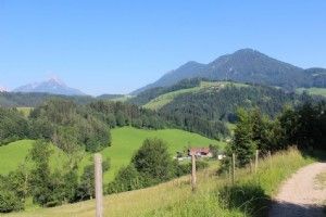 Exklusives – Blockhaus in idyllischer Landschaft zu verkaufen – Vorderstoder